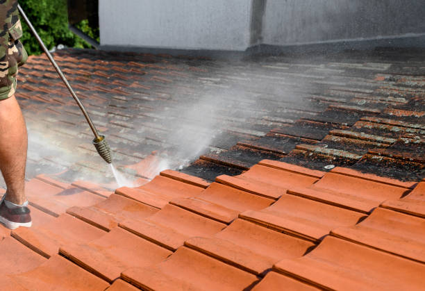 Best Affordable Power Washing  in San Augustine, TX