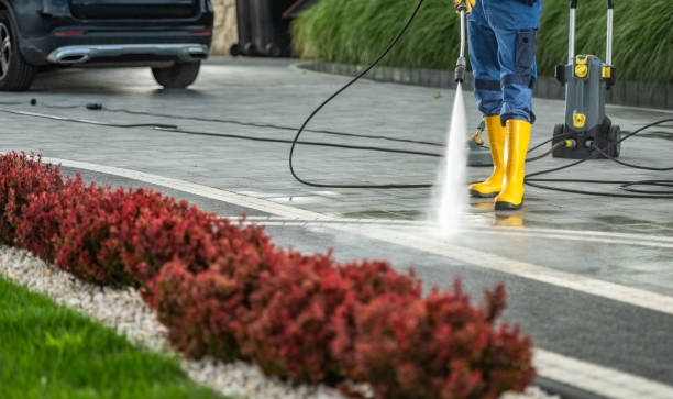 Best Affordable Pressure Washing  in San Augustine, TX